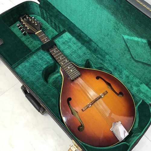 Mandoline blueridge bm300f - mandoline,
