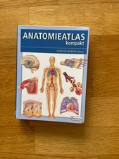 Anatomieatlas kompakt - Jane de Burgh - TB - Zustand sehr gut