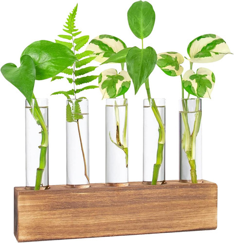 Reagenzgläser blumenvase - reagenzgläser,
