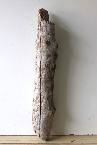 Treibholz schwemmholz - treibholz,