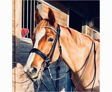 FSS GLÄNZENDE Kurve U