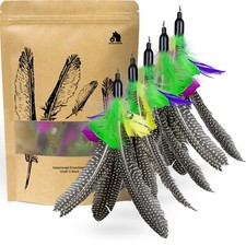 5 Katzenangel Ersatzfedern