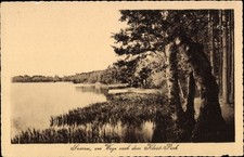 Ak Bad Saarow in der Mark, am