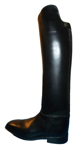 Cavallo piaffe mit - piaffe,