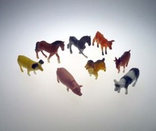 8 Farmtiere Bauernhof Pferd