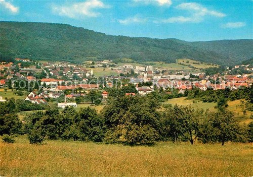 Ebermannstadt panorama - ebermannstadt,