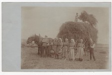 3/568 AK BERUF BAUER PFERD LEITERWAGEN STROHHUT ungelaufen