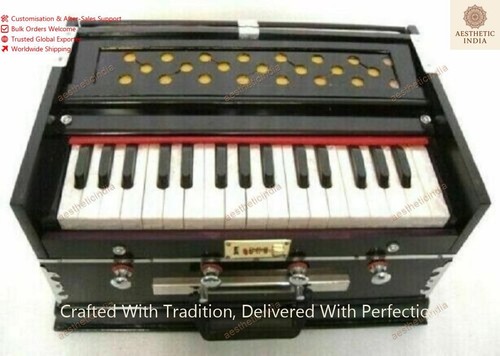 Indisches musikinstrument - indisches,