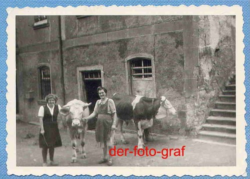Foto alte landwirtschaft 2 - foto,,