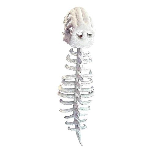Dinosaurier skelett - dinosaurier,
