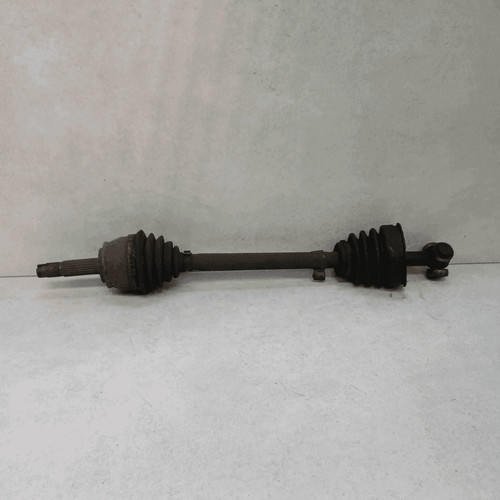 46307998 semialbero ameise - 46307998, semialbero-ameise