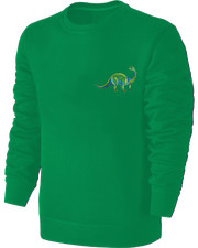 Kinder Langhals Dino Stickerei Sweatshirt Dinosaurier Pullover Pulli Hoodie Grün