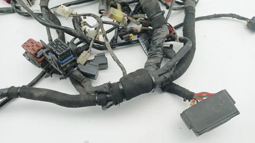 Faisceau elektrisch agusta - elektrisch, mv