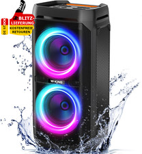 W-KING 240W Peak Lautsprecher
