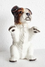 ROYAL PRÄSENTE Fox Terrier