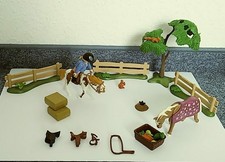 Playmobil, Katzen- Set mit Mädchen, 2 Kutschen, Pferde und Putzfrau