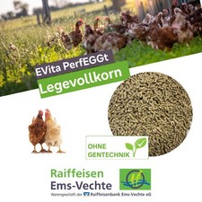 Legevollkorn EVita 20kg