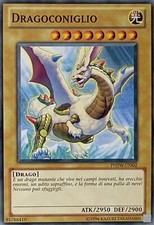 Drachenkaninchen - Common -