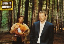 BUNTE HUNDE - AHF Aushangfotos