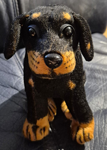 Hund stoff plüschtier - &,