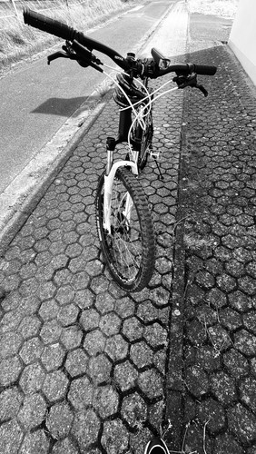 Dynamics gravity mountainbike - dynamics,