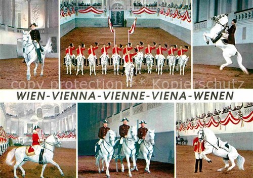 Wien spanische hofreitschule - wien,