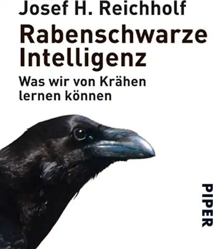 Rabenschwarze intelligenz - rabenschwarze,