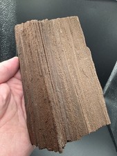 Versteinertes Holz,Zwenkau