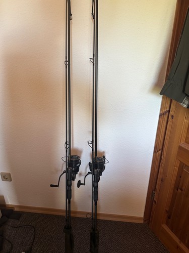 Sportex brillant carp - 2,
