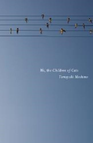 The children cats - we,,