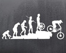 Evolution bike vinyl - bike,