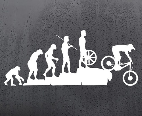 Evolution bike vinyl - of,