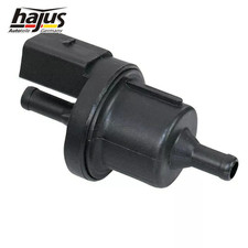 Hajus Entlüftungsventil