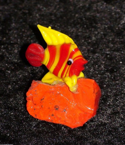 Fisch glas miniatur - fisch,