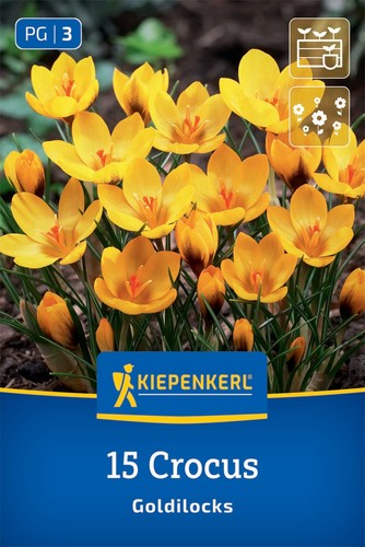 Kiepenkerl botanischer krokus - kiepenkerl,