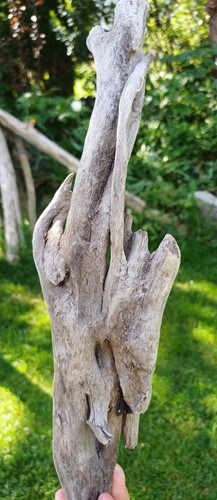 Schön geformtes dunkles - schön,