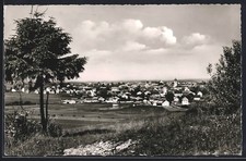 Langenaltheim /Mittelfr., Ortsansicht mit Panorama, Ansichtskarte 