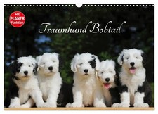Traumhund Bobtail