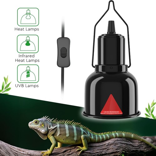 Terrarium dome lampenfassung - terrarium,