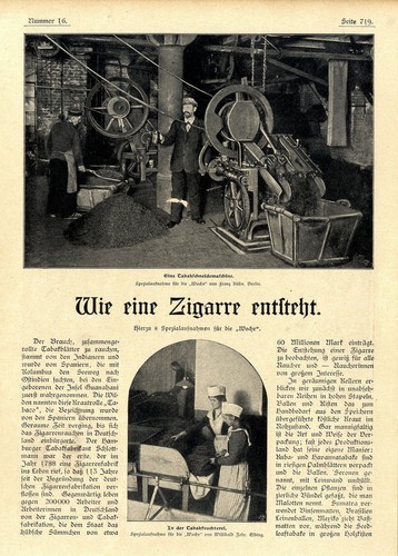Wie eine zigarre entsteht - zigarre,