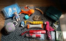 Großes Paket Hunde Zubehör Konvolut Spielzeug Dummy Pool Kleidung Halsband 