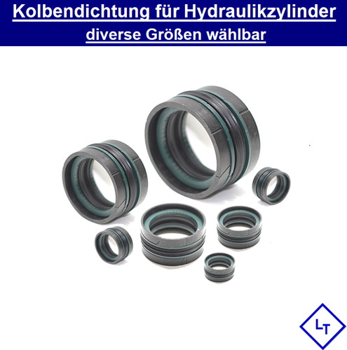 10dbs kolbendichtung für - 10dbs,