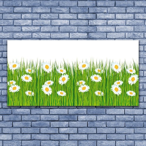 Acrylglasbilder wandbilder aus - acrylglasbilder,