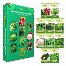Wintergemüsesamen Set - 10 Sorten Samen - Saatgut Sortiment - Anzuchtset