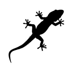 Gecko - Aufkleber Folie KFZ Tattoo Sticker Lurch Salamander konturgeschnitten