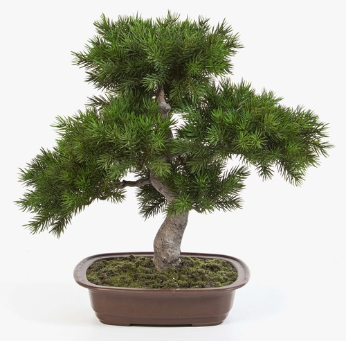 Artplants kunst bonsai - artplants,