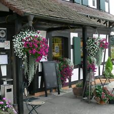 Schwarzwald Gutschein