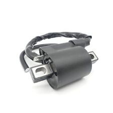 Zündspule für Pegasus Sky Solero 50