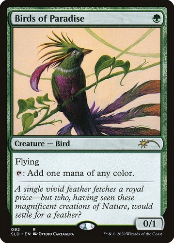 Magic mtg birds paradise - birds,