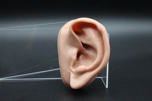 Scientific n15 l - n15/1,